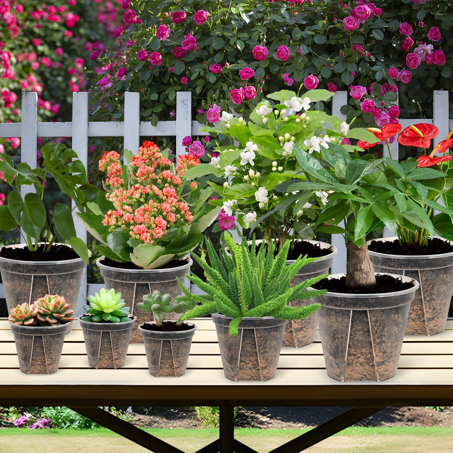 AUGXIXI 5 Sets 8 Inch Transparent Plastic Garden Pots Planter with Saucer Plant Planter Drainage Hole Plastic Pots for Plants Indoor and Out Door House Plants with 10pcs Plant Labels