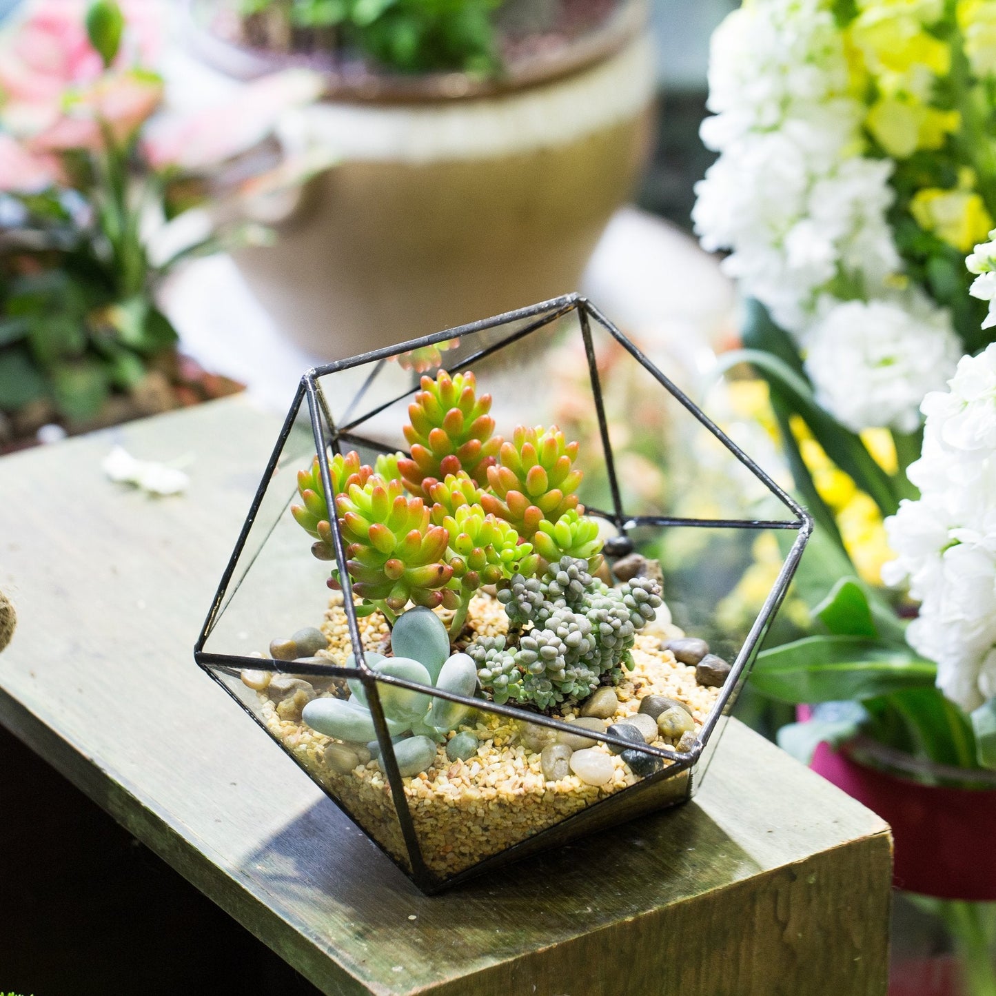 NCYP Opened Geometric Glass Terrarium, 6.69" Bowl Shape Planter for Succulent Plant Cacti, Indoor Balcony Irregular Decor, Garden Miniature Pot, Tabletop Centerpiece (No Plants)