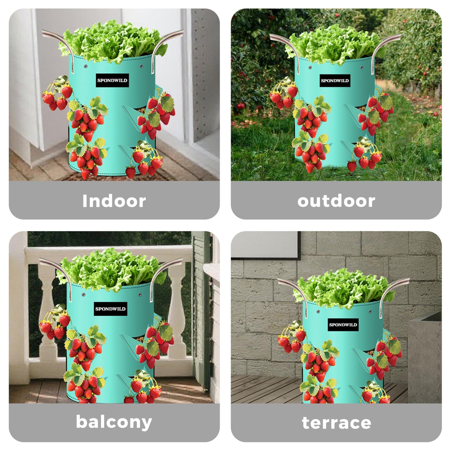 SPONDWILD 3 Pack 15 Gallon Strawberry Grow Bags, Heavy Duty Reusable PE Pots with Breathable Window, Branch & Drainage Holes, Reinforced Handles for Strawberries, Veggies, Flowers, Balcony/Patio Use
