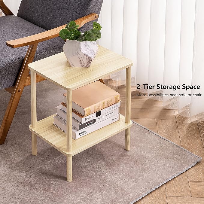 Apicizon 2 Tier End Table, Small Side Table