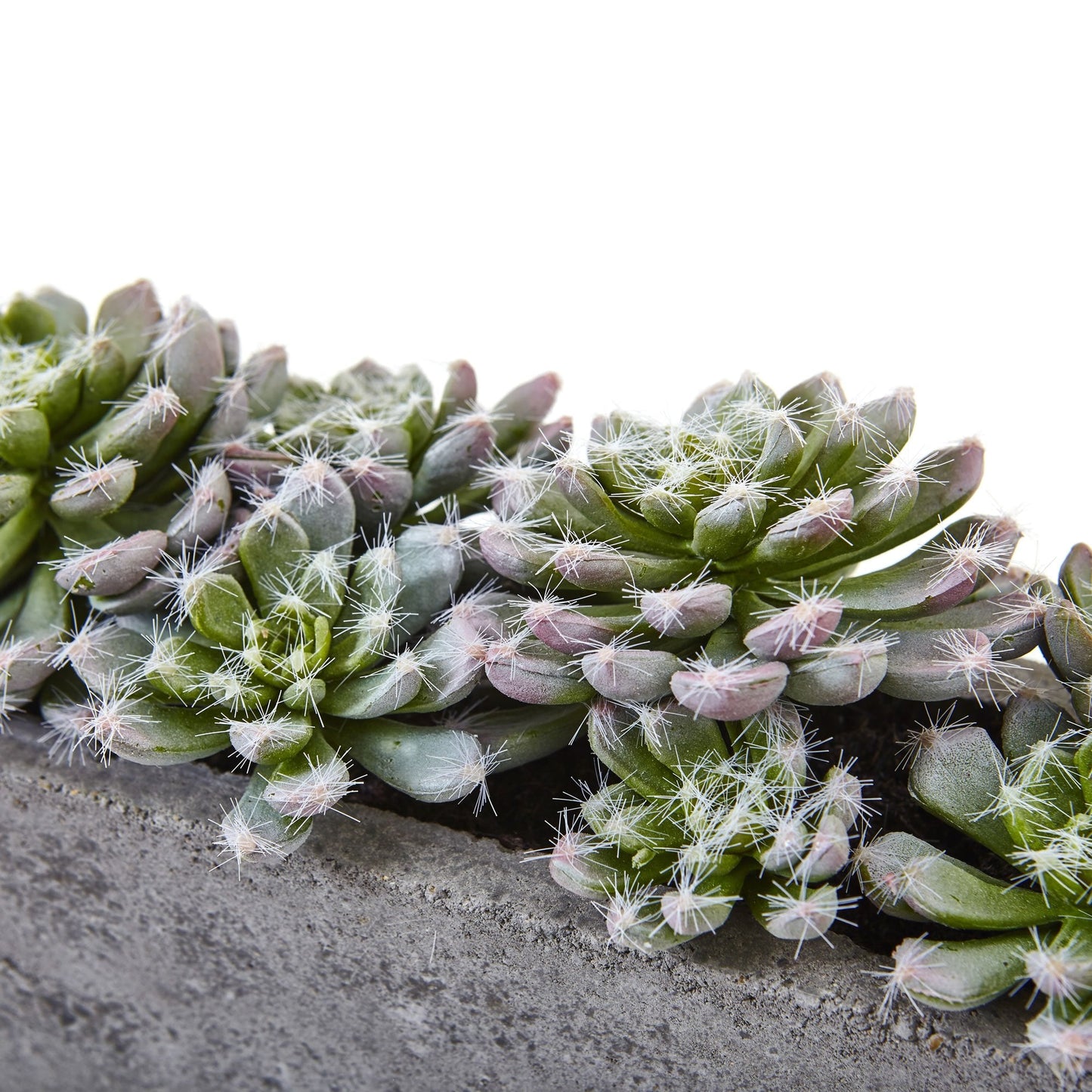 Nearly Natural Succulent Garden with Textured Concrete Planter