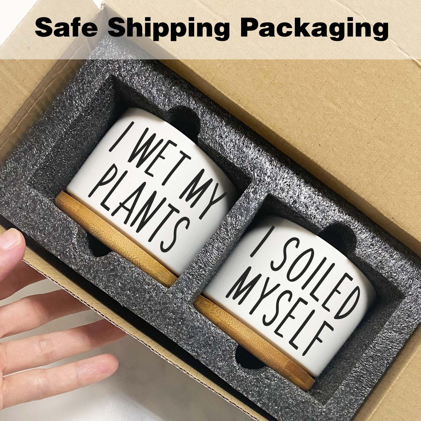 2 Pack I Wet My Plants - Funny Ceramic Planter Pot with Drainage, Cactus Pot, Cute Succulent Pots,Aloe Vera Plant Pot,Funny Plant Gifts for Women, Friends, Coworker