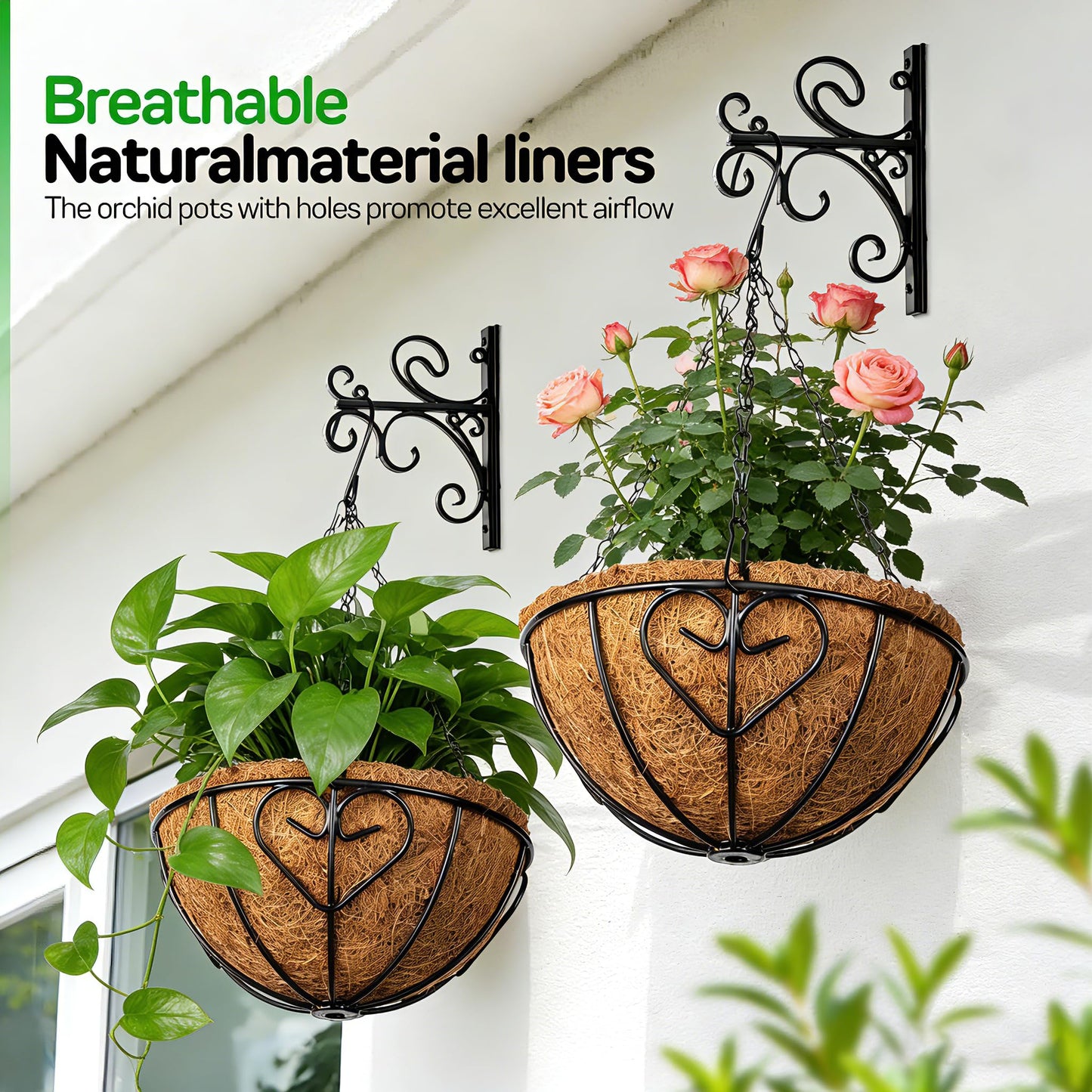 QCQHDU 2 Pack 10 inch Metal Hanging Orchid Baskets for Plants Outdoor, Hanging Orchid Planter Basket with Coco Liners, Orchid Pots with Holes for Garden, Patio, Deck, Porch Plants(Love)