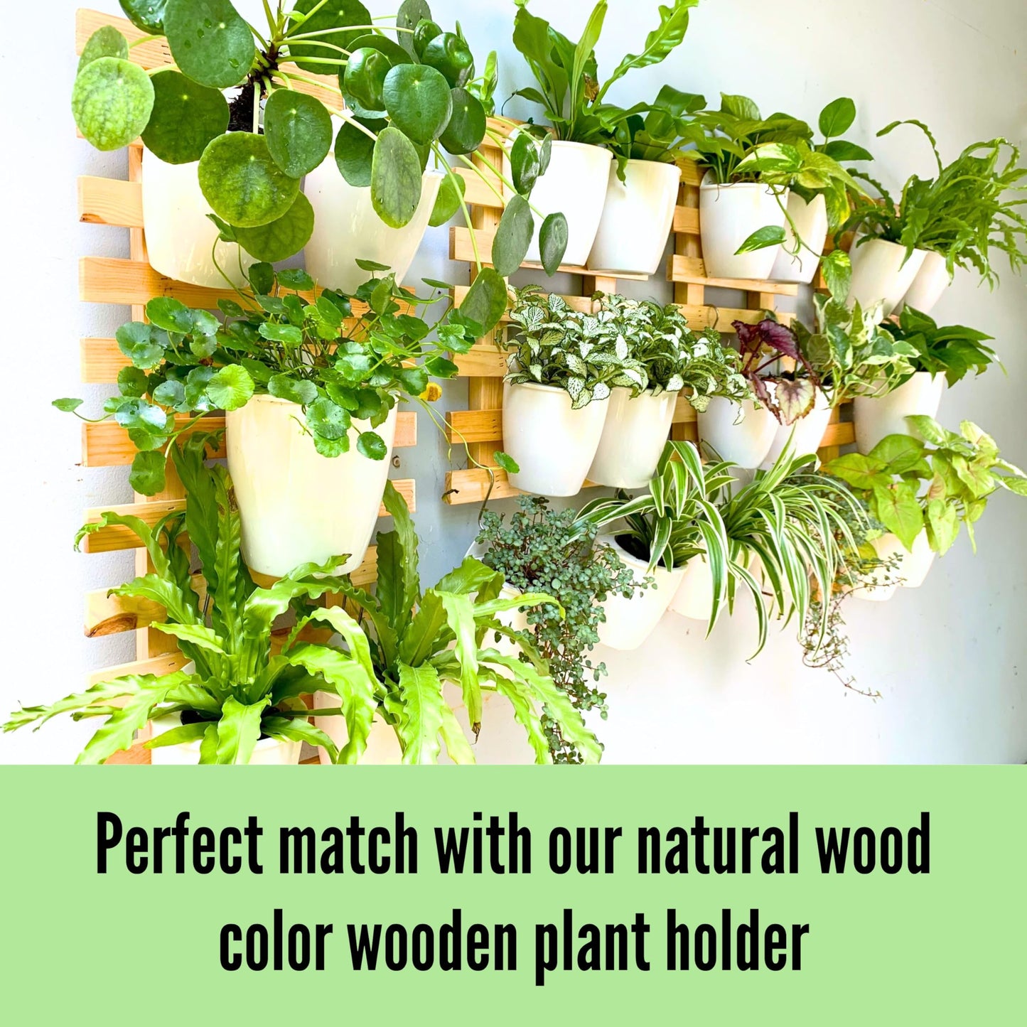 LaLaGreen Bundle- 10 Pack, 5 Inch Self Watering Plastic Pot + 2 Pack, 15.7 Inch Rustic Wooden Plant Holder Wall Mount Vertical Live Eco Garden System Trendy Herb Orchid Airplant Hanging Frame Display
