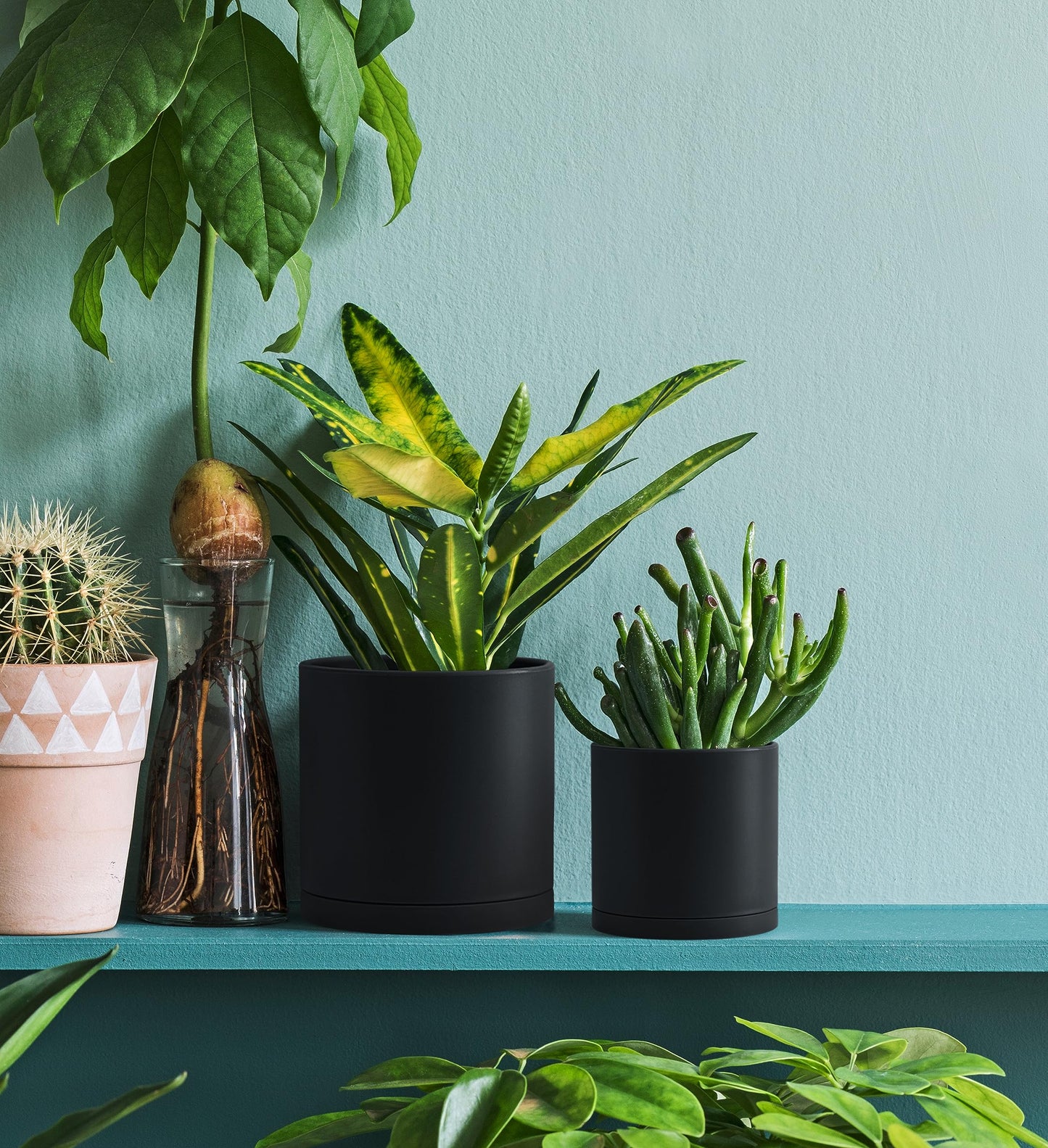 D'vine Dev 6 Pack 4.5 Inch Modern Plastic Plant Pots, Small Garden Planters for Plant with Drainage Holes and Saucers, Black Color, 74-Y-F-3