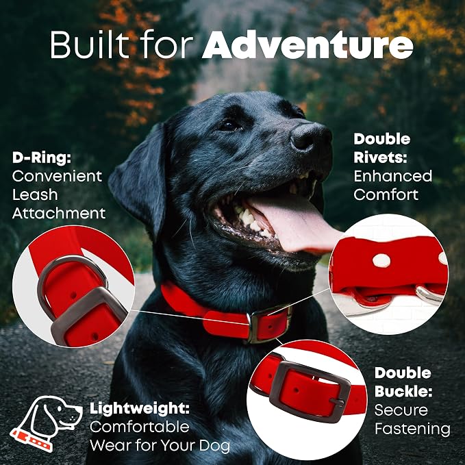 Regal Dog Products Medium Red Dog Collar with Heavy Duty Double Buckle & D Ring | Vinyl Coated, Custom Fit, Adjustable Biothane Dog Collar Chew Resistant Waterproof Collar for Dogs