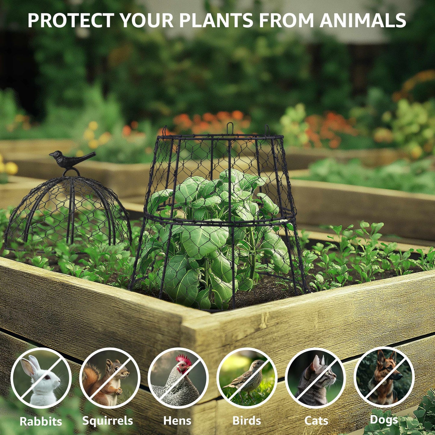 DHAMPOOH Pack of 12 Heavy-Duty Chicken Wire Plant Cloches – Rustproof Garden Protectors and Plant Cages for Vegetables and Flowers – Safeguard Plants from Deer and Critters – 20” x 12”