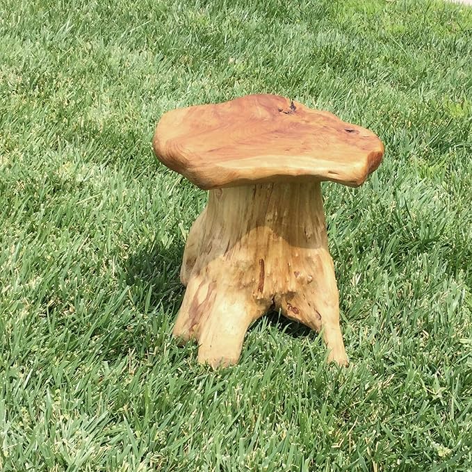 UKN Cedar Roots Naturally Shaped Mushroom Stool Side Table Stand Natural Cabin