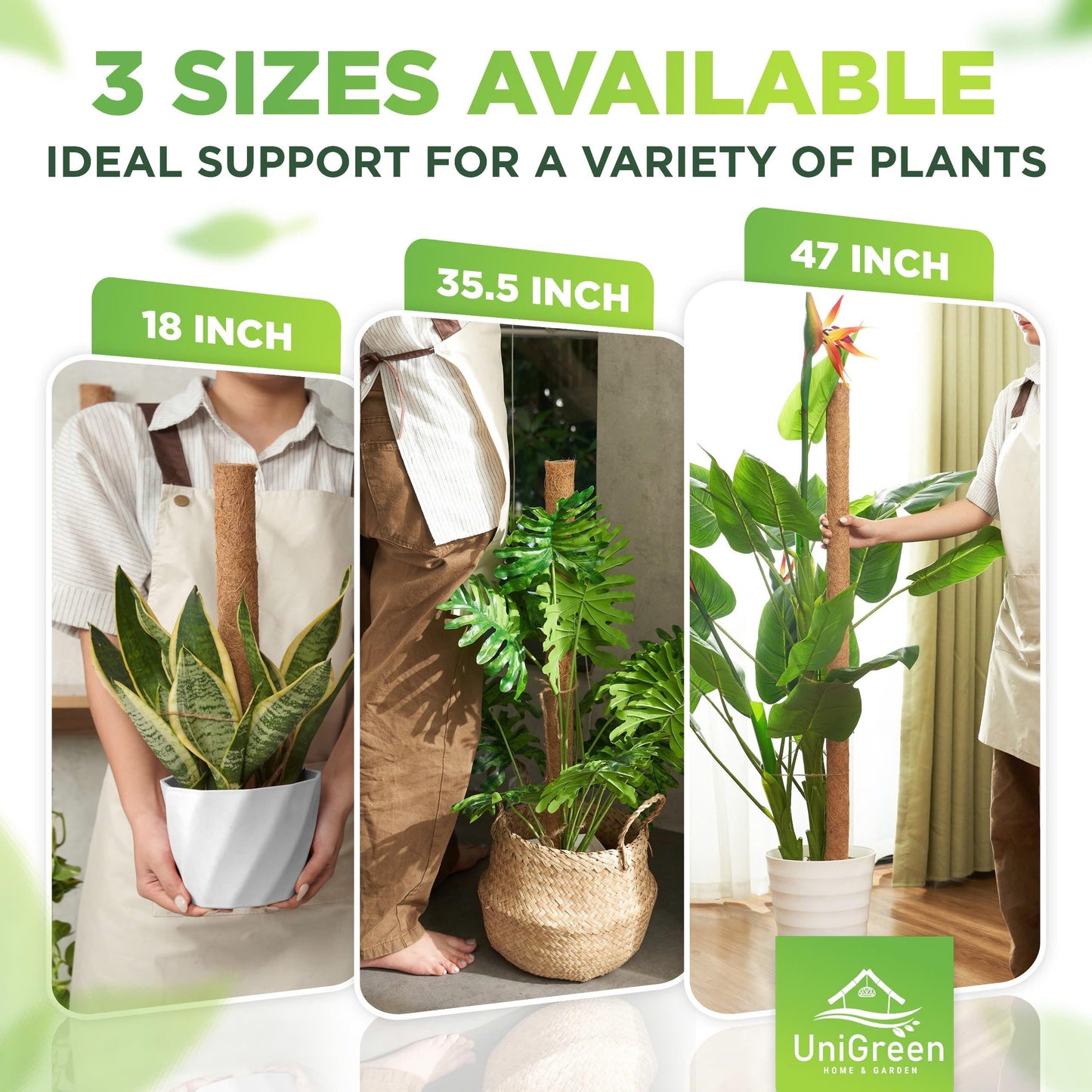 UNIGREEN 2Pack 30'' Premium Moss Pole, Coir Totem Poles for Indoor Plants, 18'' Moss Sticks, Garden Ties - Support and Train Creepers and Climbing Plants