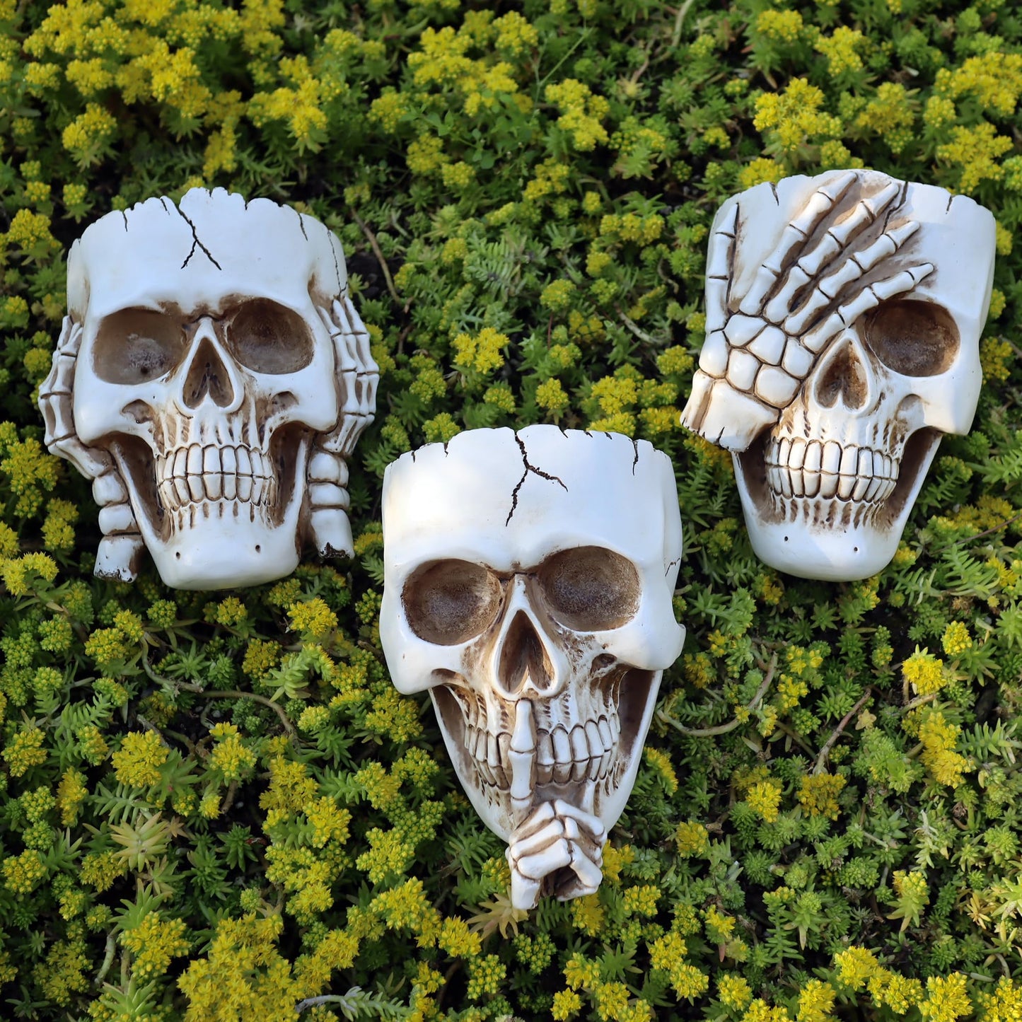Dolkgy Skull Wall Planters Set of 3 – Hanging Skull Plant Pots for Indoor Outdoor Decor, White Gothic Wall Planter with Drainage, Succulent & Vine Planter for Halloween Home Décor