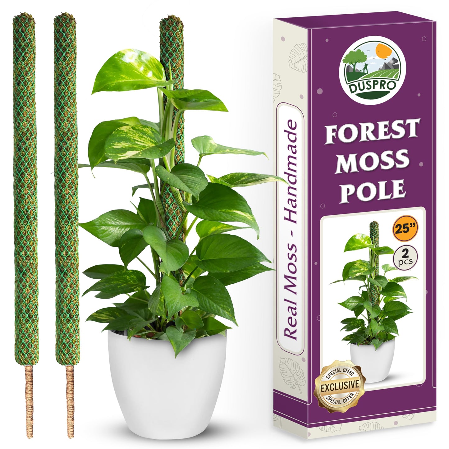 DUSPRO 2 Pack 25’’ Mesh Moss Pole for Climbing Plants, Natural Moss Pole Monstera Plant Support, Real Moss Poles for Plants Indoor, Moss Stick for House Plants, Moss Stakes for Climbing Plants