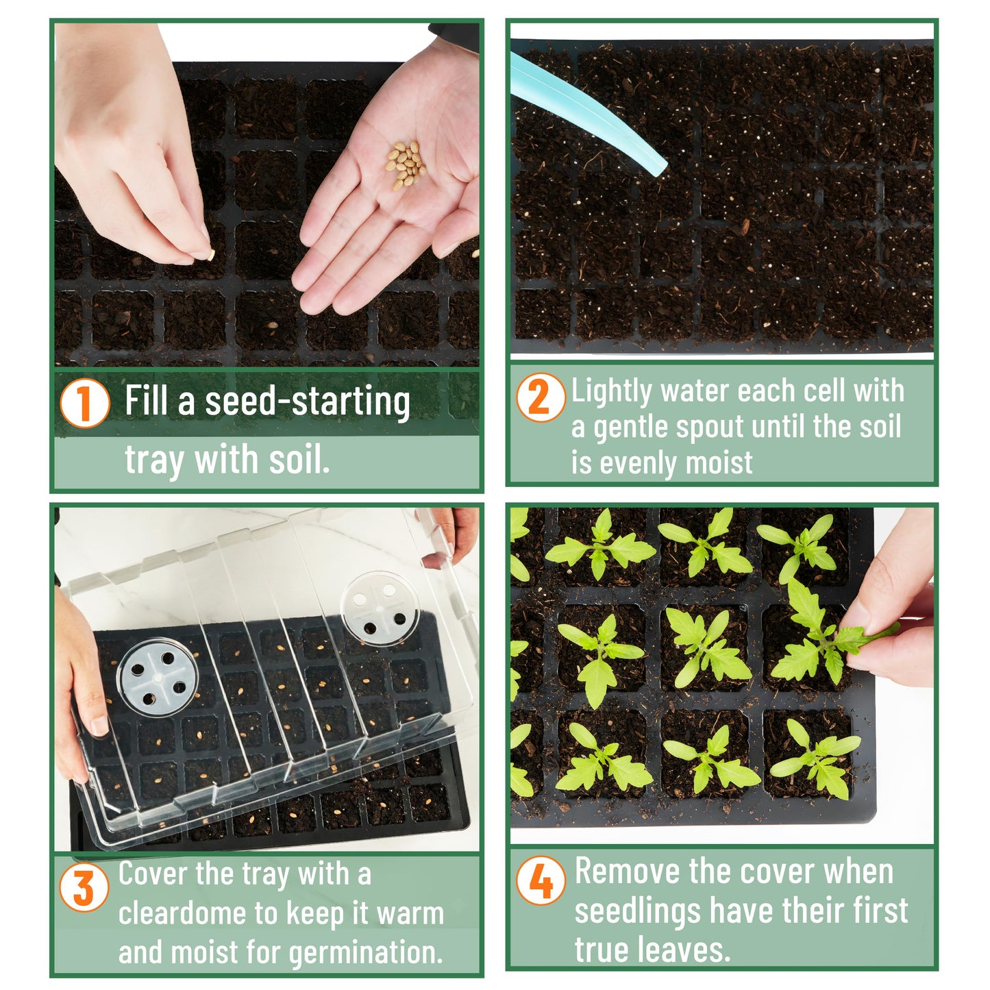 Mr. Pen- Seed Starter Tray Kits, 5 Set, Total 200 Cells, Durable Plant Germination Trays with Humidity Vented Domes and Bases, Ideal for Seed Starting, Indoor Gardening and Greenhouse