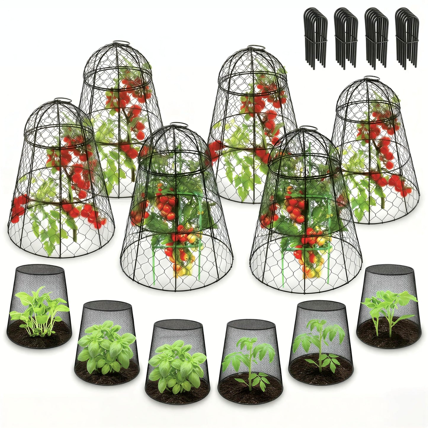 Tcomhk Garden Cloches for Plants, Chicken Wire Plant Cages, Plant Protectors from Animals, Combo Pack, 12 Pcs (6 Large 17.7" × 12.8" + 6 Small 5.87" × 9")
