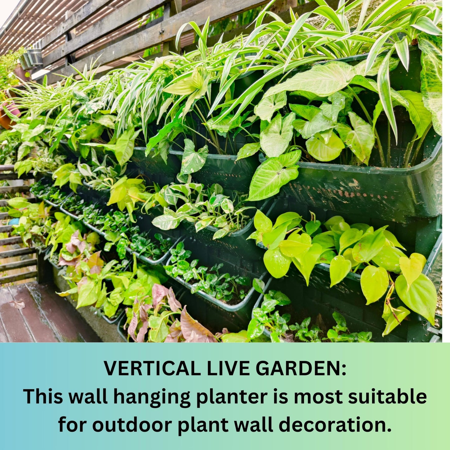 Maxona Vertical Wall Planter for Indoor Plant-Walls Mounted Pot with 2 Drainage Tray 8 Pack, 13 inch Dark Green for Indoors and Outdoor Decor, Plastic Pots Balcony Planters, Plants Hanging
