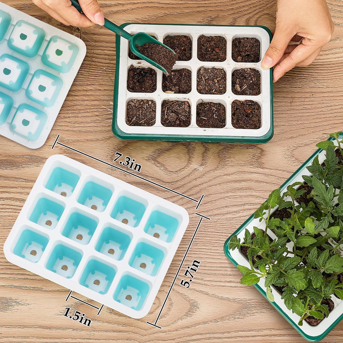 Hanaoyo 5 PCS Reusable Seed Starter Tray, 60 Cells Seed Starter Kit with Flexible Pop-Out Cells, Seedling Starter Trays for Seed Starter, Indoor Greenhouse Seeding Planting Growing