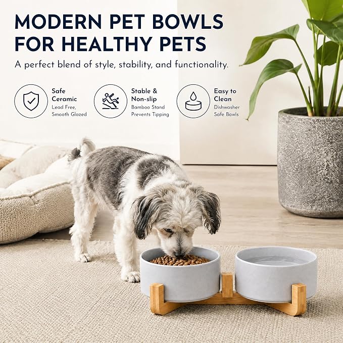 Petygooing Ceramic Dog Bowl Set with Wood Stand, Grey, 13.5OZ/5.1 in, Suitable for Cats & Small Dogs