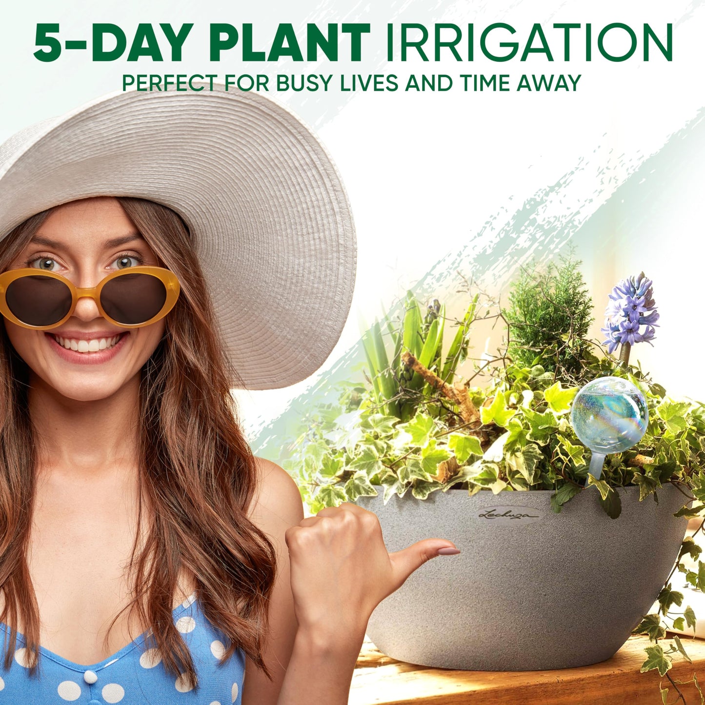 Mission Gallery Clear Plant Watering Globes Set of 6 - Small Self Watering Globes for Indoor & Outdoor Plants - Automatic, Glass Watering Bulbs for Daily Use, Plant Watering Devices