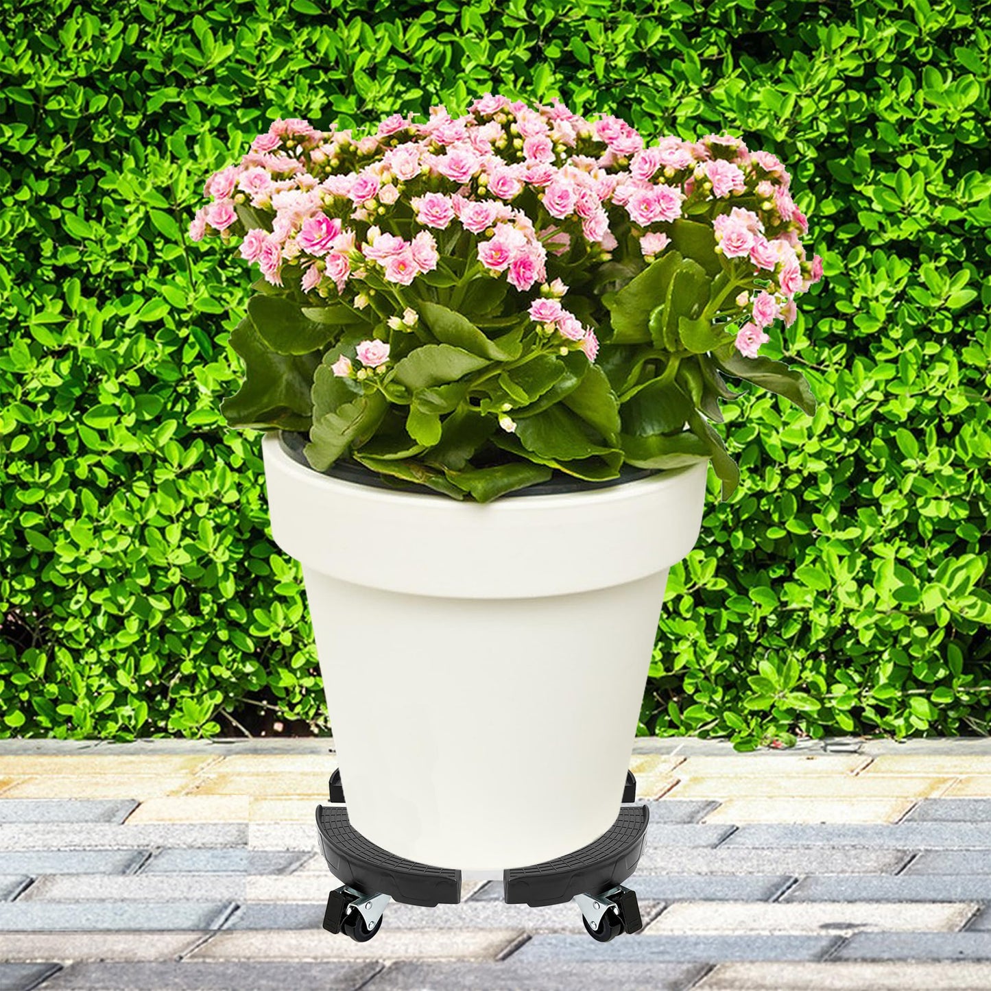 CASIMR Plant Stand with Wheels, Adjustable 15-21" Heavy Duty Plant Caddy with Casters, 440lb Capacity Indoor Outdoor Large Potted Planter Cart Dolly, Rolling Plant Stand for Flower Pot