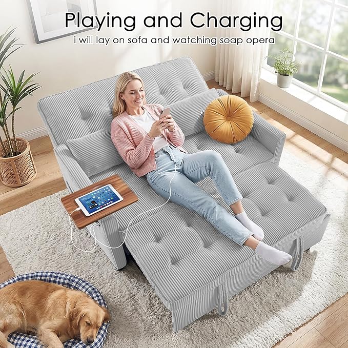 Sleeper Sofa Bed, Guest Room