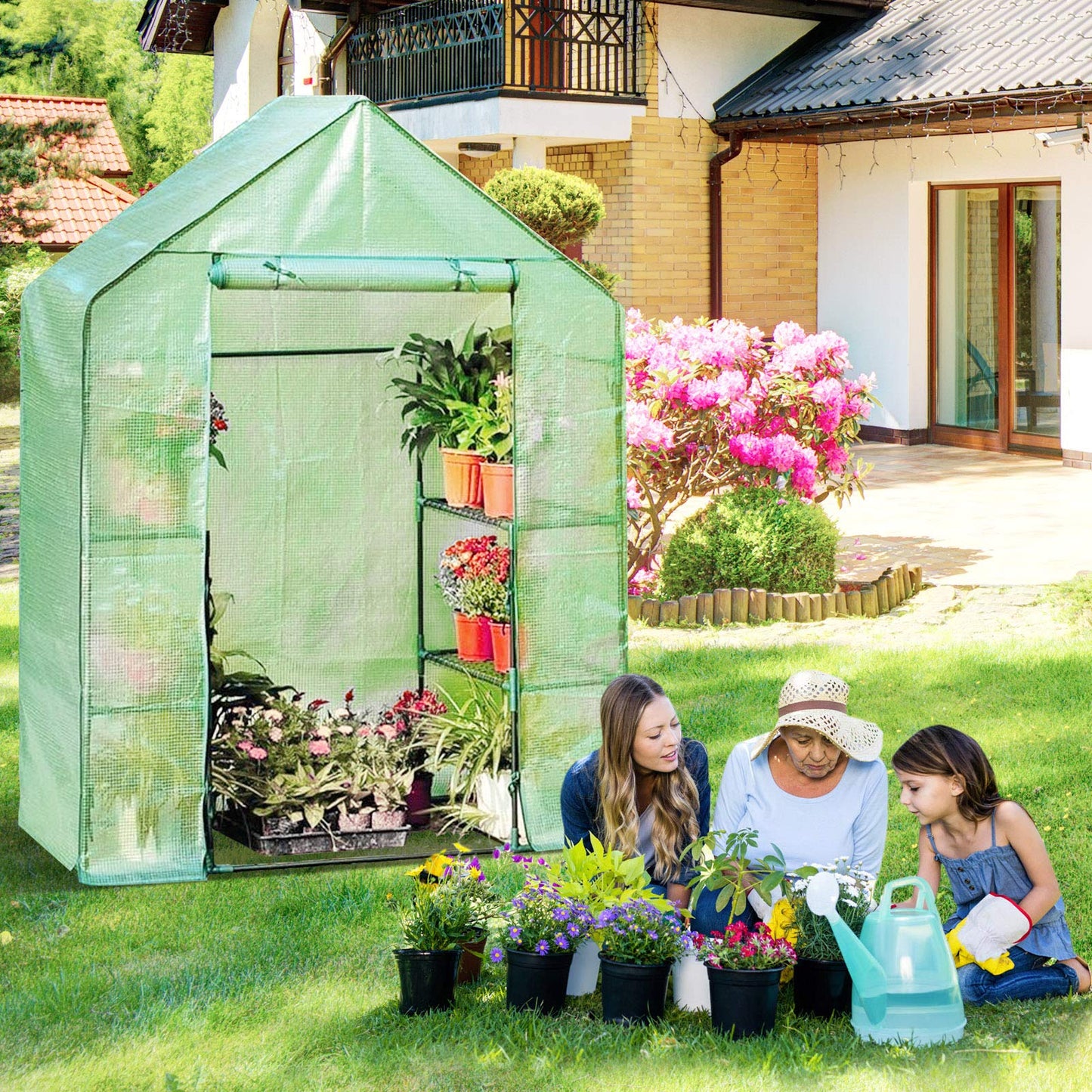 S AFSTAR Walk in Greenhouse, 56.5 x 29 x 77-Inch Green House with 2 Tier 8 Mesh Shelves & Zipper Roll-Up Door, Portable Greenhouse Mini Growing House, Greenhouses for Outdoors Garden Patio Backyard