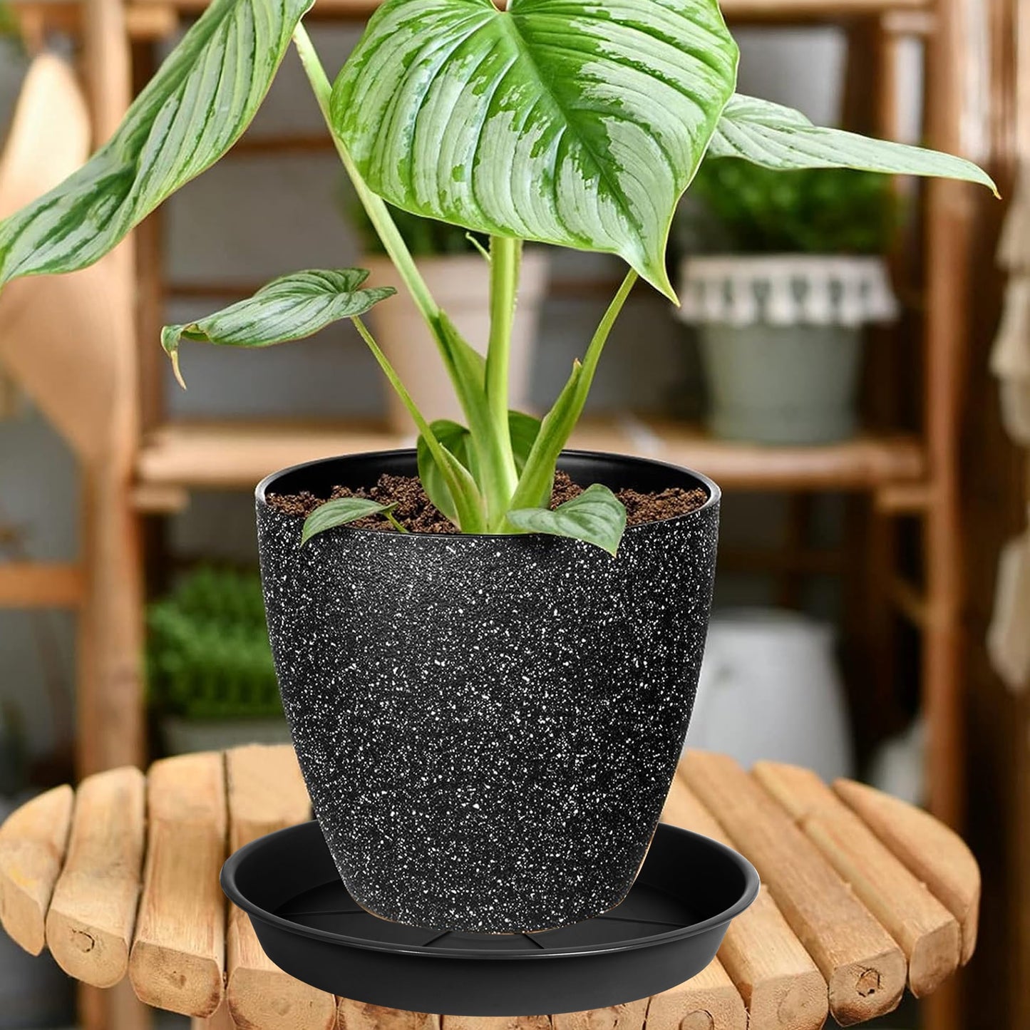 OVZILKI 6 Pack of Plant Saucer Tray 11 12 inch, Heavy Duty Plastic Pot Plant Drip Trays Saucers for Indoors Outdoor, Plant Water Tray for Planters 11-12" (12", Black)