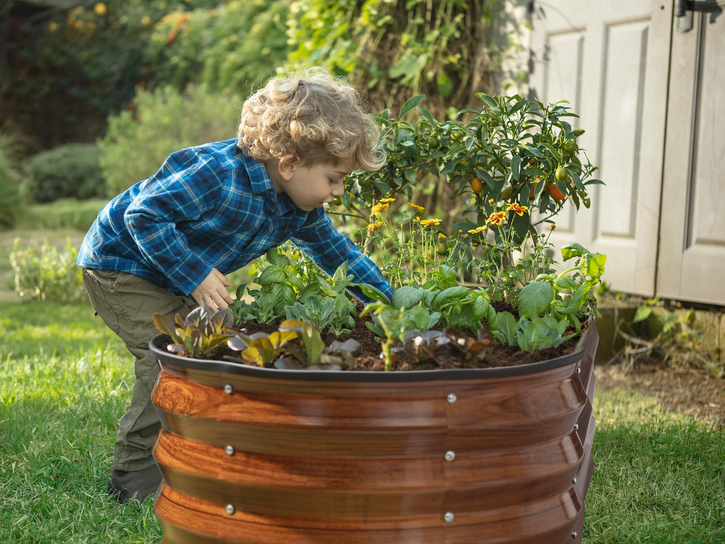 Plant & Plot Galvanized Raised Garden Beds Outdoor // 4×2×1 ft Planter Raised Beds for Gardening, Vegetables, Flowers // Large Metal Garden Box (Dark Wood Grain)