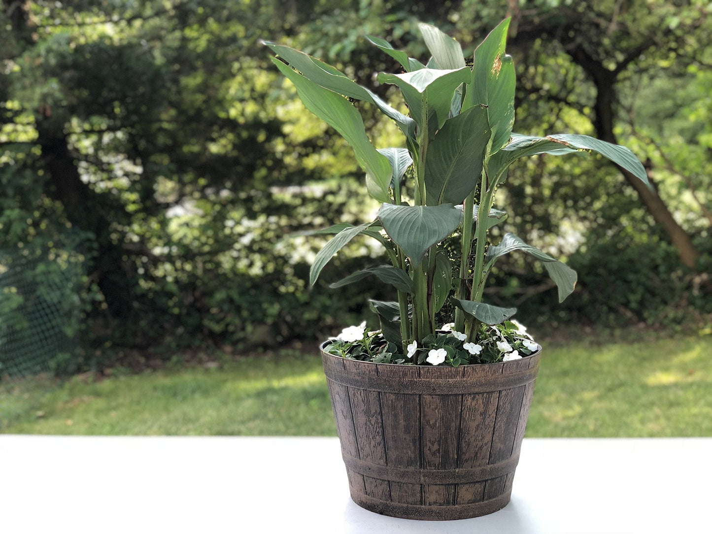 Sapphire Plant Pots Set of 2 Pack 10 inch, Copper Whiskey Barrel Planters with Drainage Holes. Plastic Decoration Flower Pots Imitation Wine Barrel Design (Copper-S)