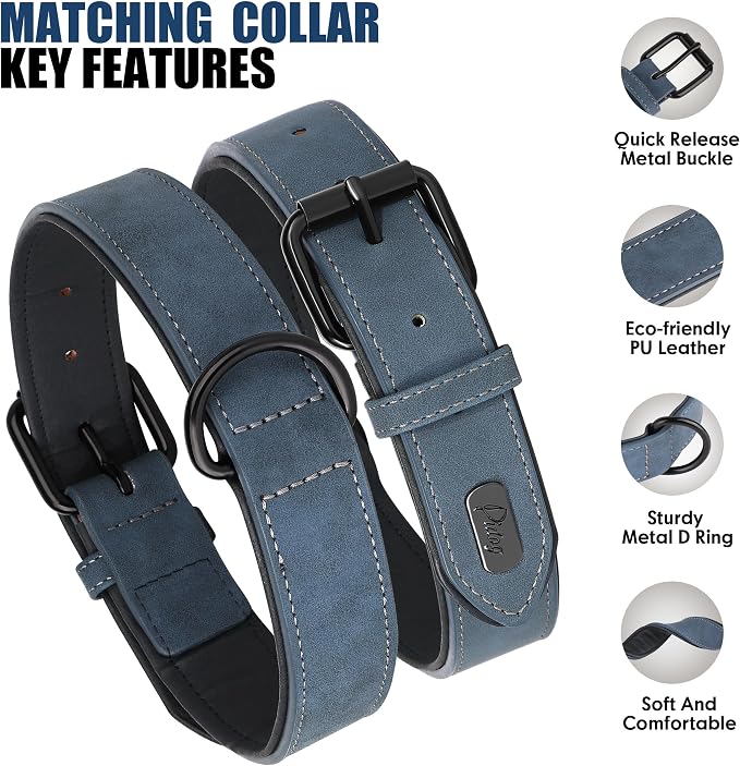 Didog Soft Padded Leather Dog Collar and Leash Set, Adjustable Dog Leash and Collar Set with Metal Buckle, Breathable Dog Collars with 4FT PU Leather Dog Leash for Small Medium Dogs, Blue, M