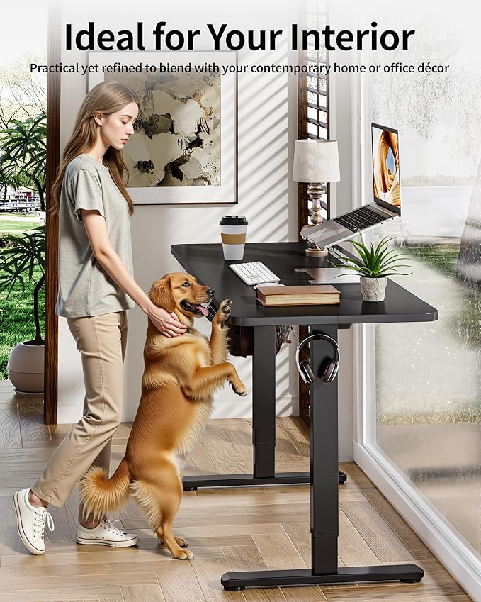 BIZUM Electric Standing Desk 63 x 24 Inch Computer Desk-Gaming Desk Black Home