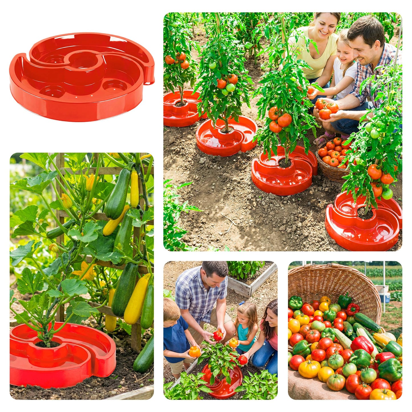HolyMaji 4 Sets Tomato Watering Ring, Aqua-Direct Red Tomato Halo for Vegetable Direct Root Irrigation, Cuts Runoff, Promotes Vigorous Plant Growth | Rapid-Stake Mount