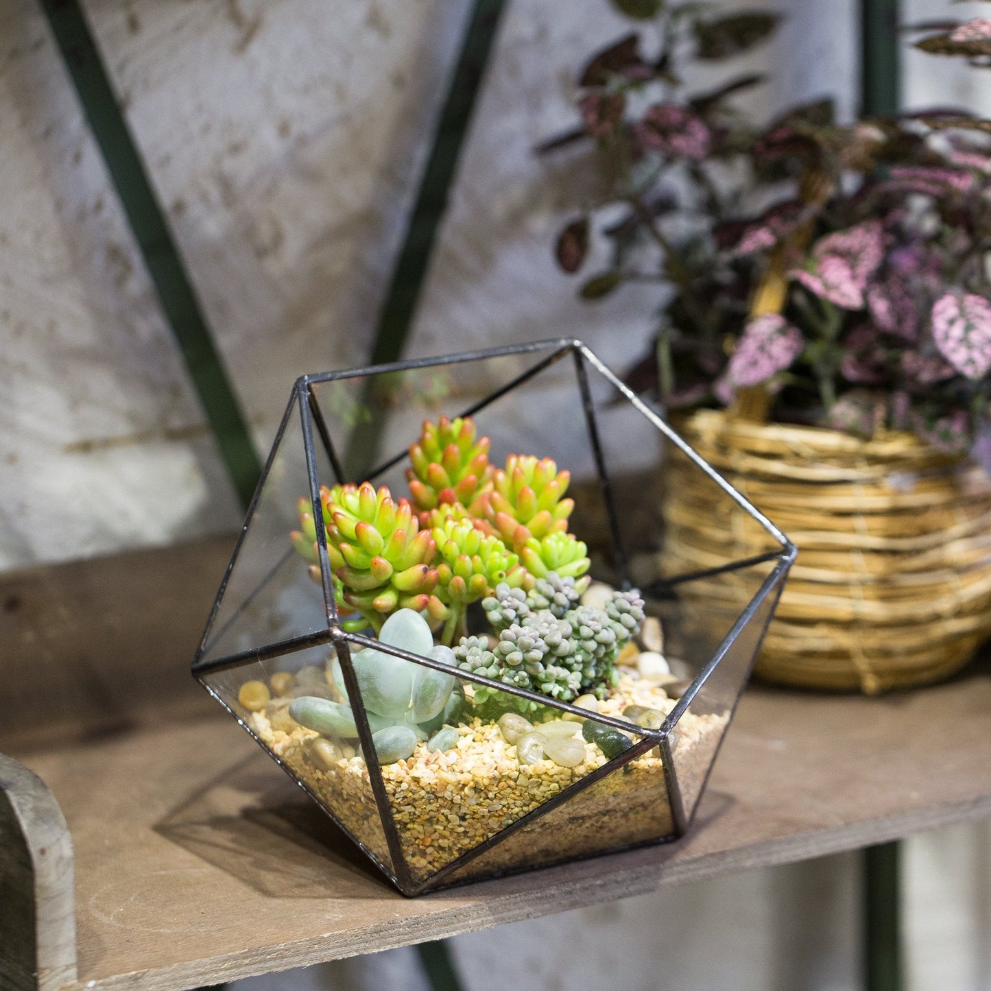 NCYP Opened Geometric Glass Terrarium, 6.69" Bowl Shape Planter for Succulent Plant Cacti, Indoor Balcony Irregular Decor, Garden Miniature Pot, Tabletop Centerpiece (No Plants)