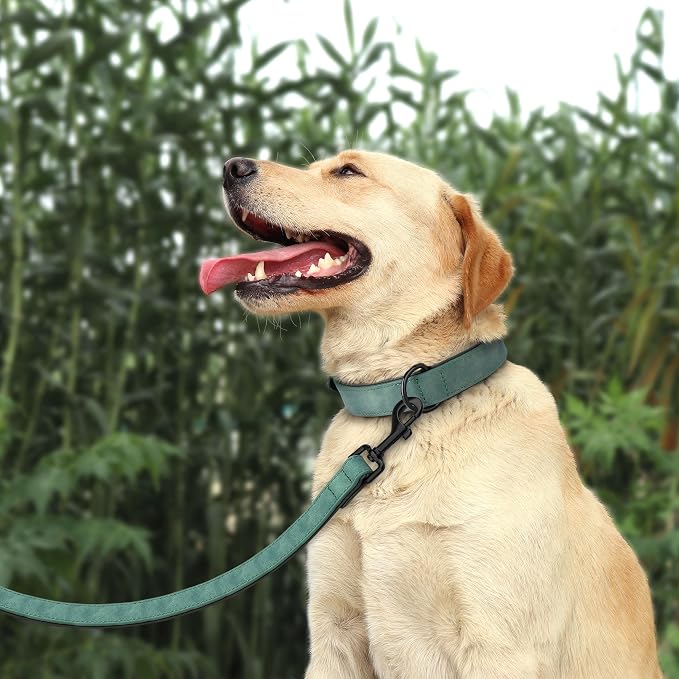 Didog Soft Padded Leather Dog Collar and Leash Set, Adjustable and Breathable Pet Collars with 4FT PU Leather Dog Leash for Small Medium Large Dogs, Green, XL