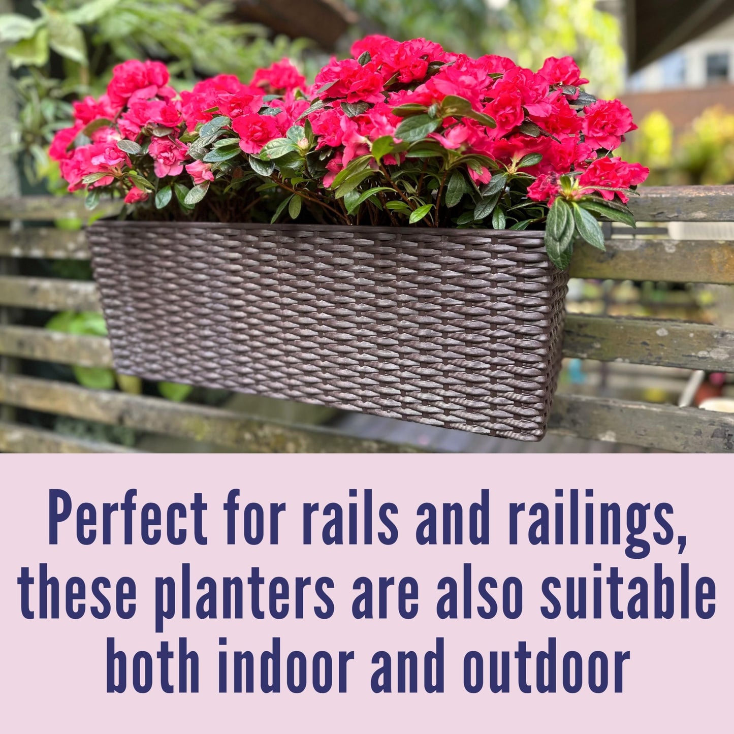 LaLaGreen Bundle- 2 Pack, 11 Inch Brown Hanging Plastic Basket + 2 Pack, 20 Inch Self Watering Planter with Bracket Rattan Style Window Plants Boxes Balcony Fence Porch Deck Modern Flower Pots Outdoor