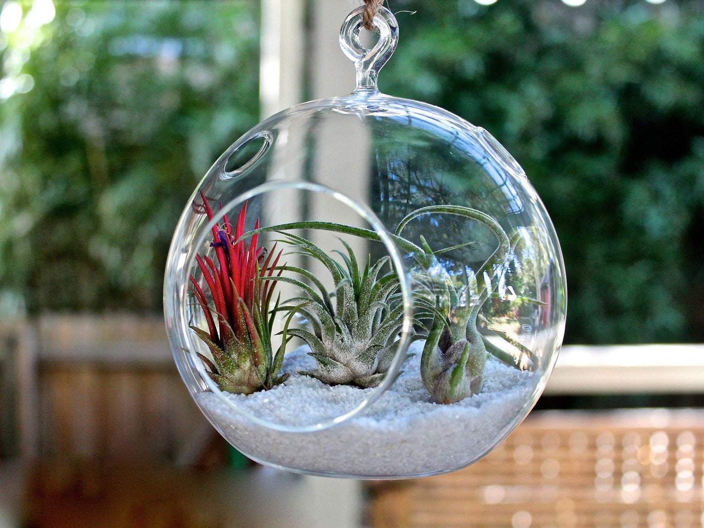 WGVI WGV Hanging Terrarium Globe, Width 7", Height 8", DIY Air Succulent Planter, Clear Glass Vase Orb with Flat Bottom, Candle Holder for Windowsill Outdoor Garden Decor, 1 Piece