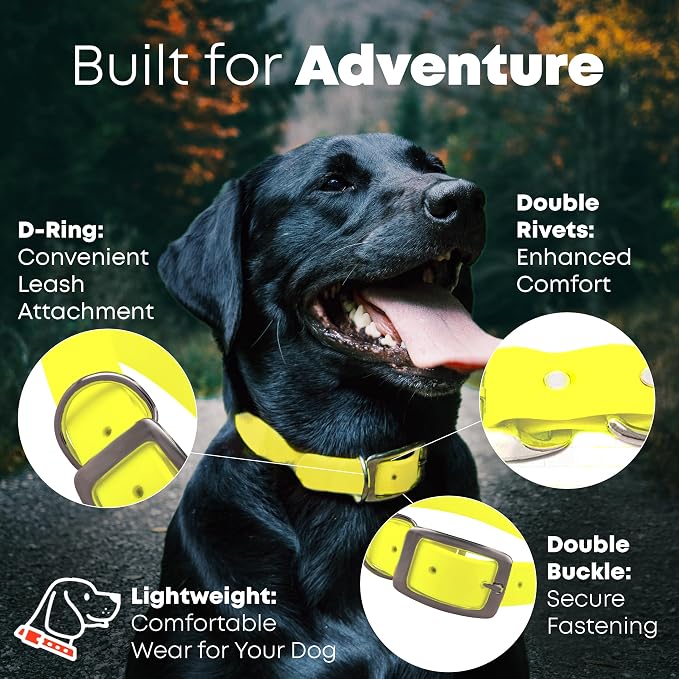 Regal Dog Products Small Yellow Dog Collar with Heavy Duty Double Buckle & D Ring | Vinyl Coated, Custom Fit, Adjustable Biothane Dog Collar Chew Resistant Waterproof Collar for Dogs
