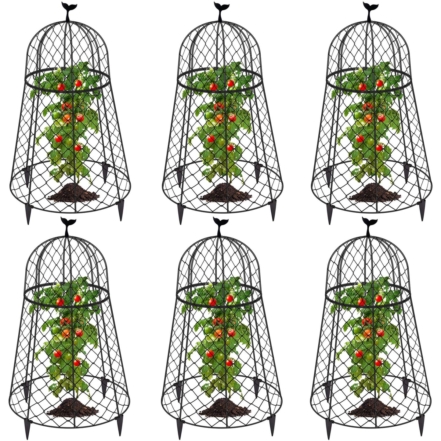 TAOMENNI 6 Packs Garden Cloches for Plants, Plant Protectors from Animals, Chicken Wire Cloche, Plant Cloche and Cage, Protection for Your Plants and Seedlings, 13" D x 20" H - Black