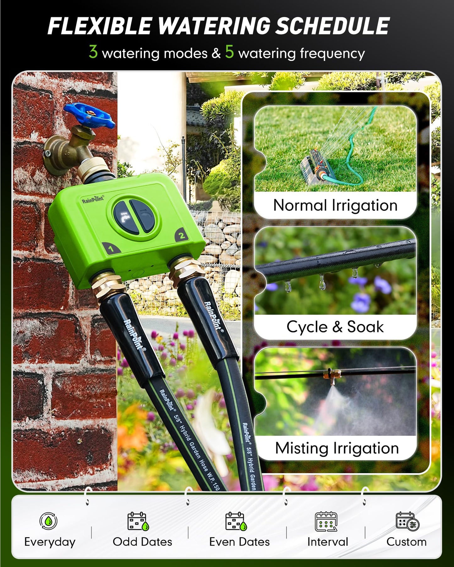RAINPOINT WiFi Water Timer for Garden Hose, 2 Zone WiFi Sprinkler Controller, Smart Hose Timer Valve, Automatic Drip Irrigation System/Rain Delay for Garden (Brass Inlet & Outlet, Ethernet Gateway)
