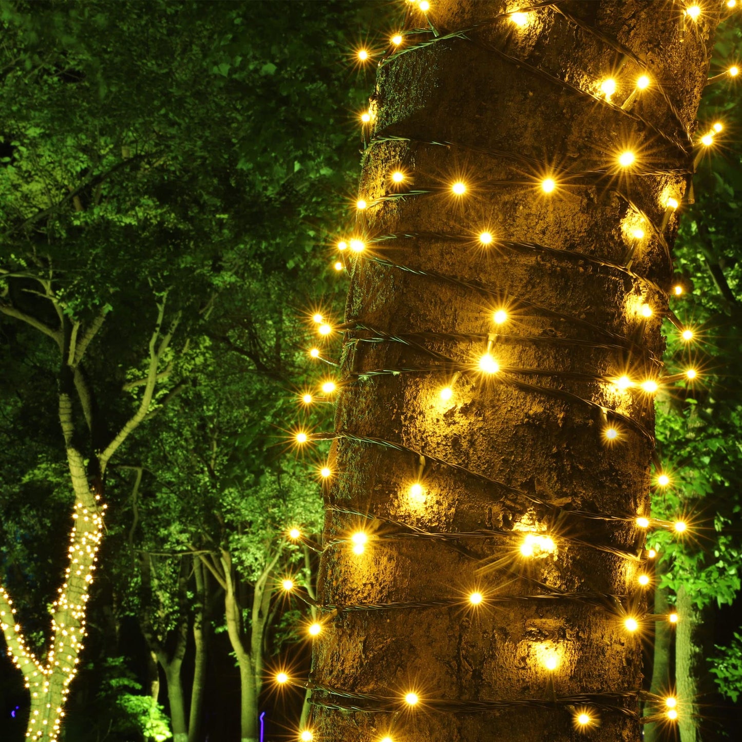 PMS 100-1000 LED Christmas Lights, Low Voltage Fairy String Lights with 8 Modes, Ideal for Xmax Tree, Garden, Home, Party, Halloween Festival Deco (100 LEDs, Warm White)