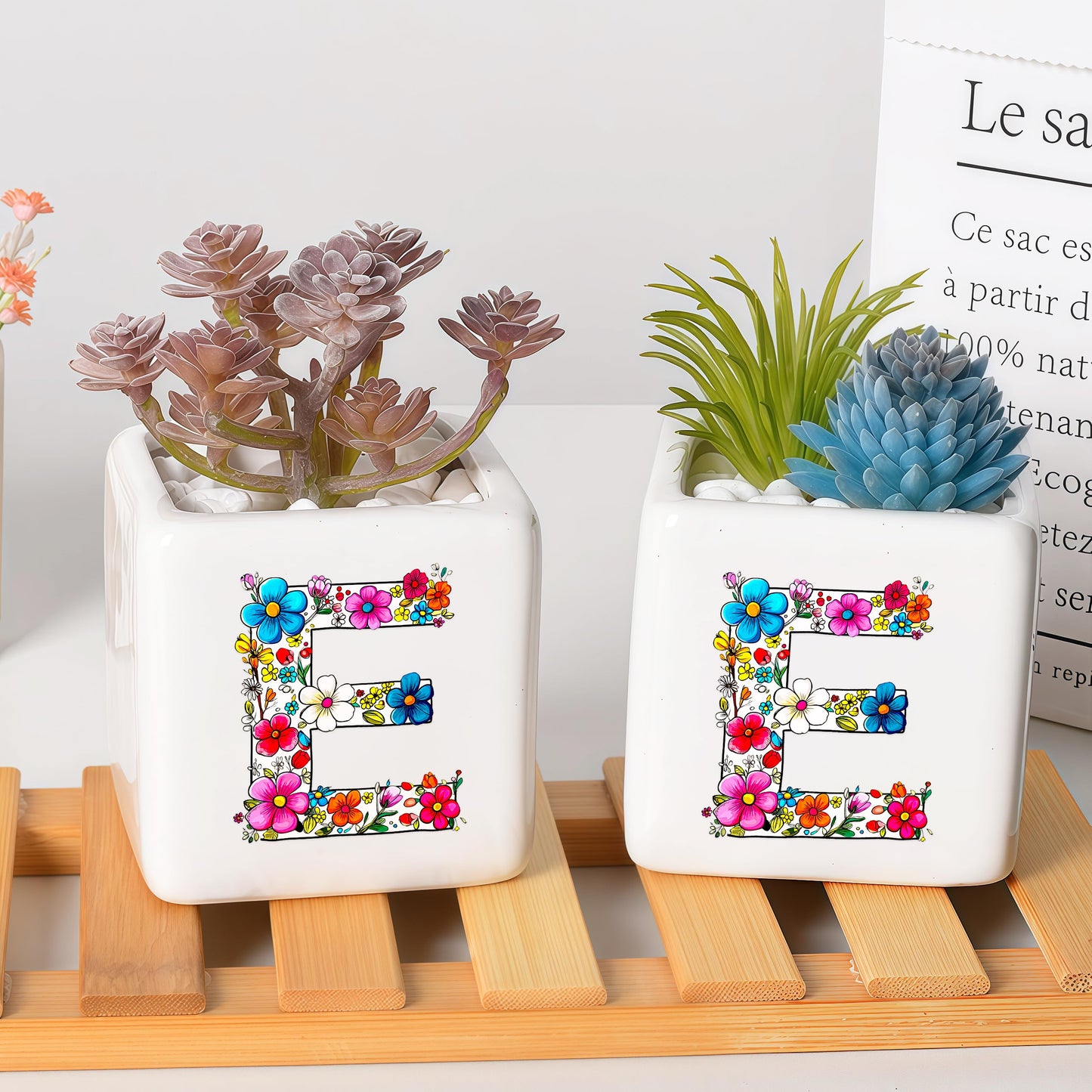 BJDAMAI Succulent Planter Flower Plant Pot Small, Christmas Valentines Day Mothers Day Easter Halloween Family Weekend Return Gifts (Letter E)