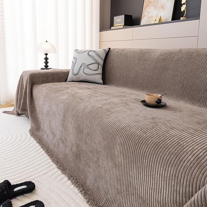 DREAMINGO Modern Minimalist Sofa Covers Washable Pet Furniture Protector Couch