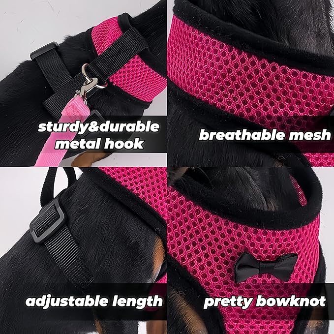 3 Pack Chicken Harness and Leash Set Adjustable Hen Vest with Matching Belt Breathable Mesh Training Harness Pets Leash for Hens Duck Goose Small Pet-Black&Red&Pink,S
