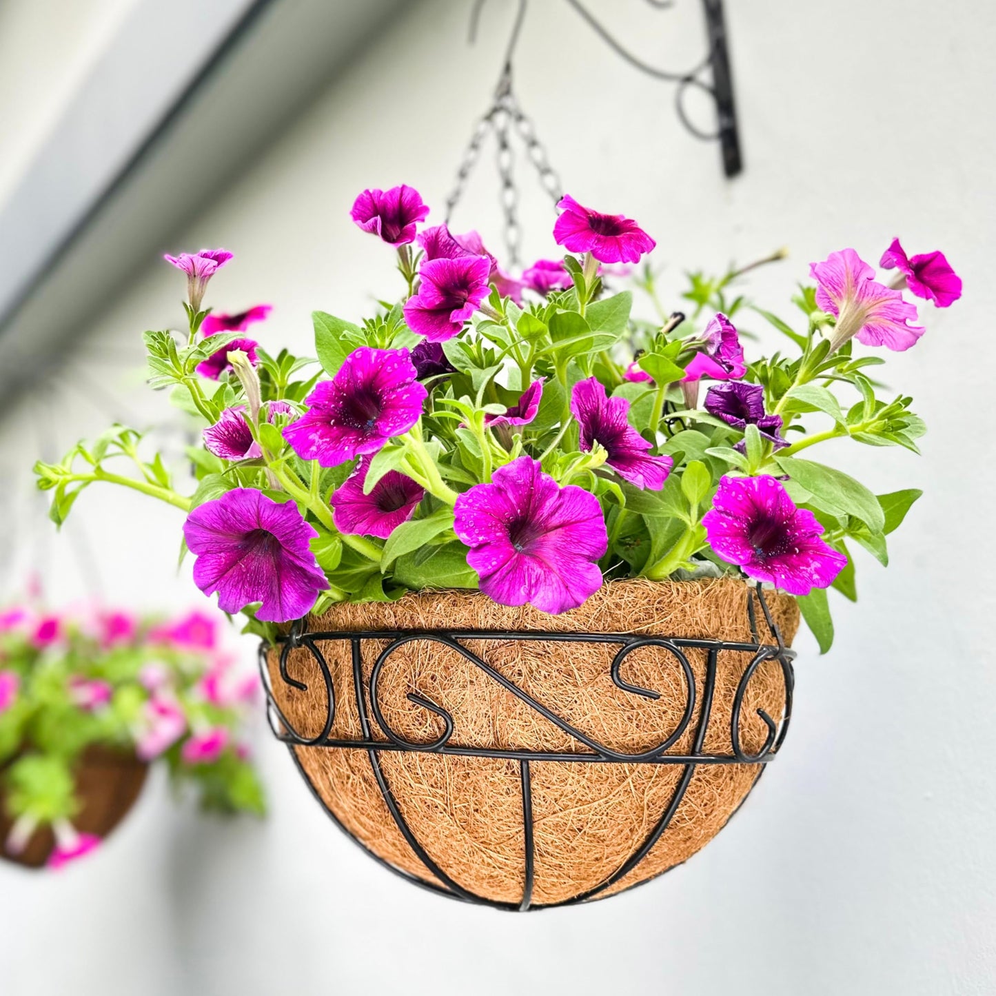LaLaGreen Hanging Planter for Outdoor Plants (18 Inch, 2 Pack) Black Hanging Baskets with Coco Liner, Also Available in 8/12/14/16/18/20 Inch and Different Shapes Balcony Porch Farmhouse Country Decor
