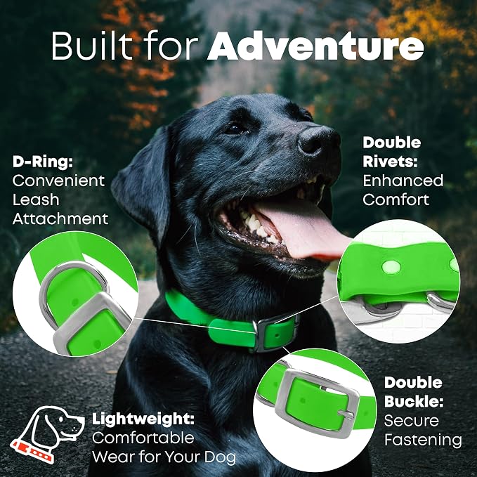 Regal Dog Products Large Light Green Dog Collar with Heavy Duty Double Buckle & D Ring | Vinyl Coated, Custom Fit, Adjustable Biothane Dog Collar Chew Resistant Waterproof Collar for Dogs