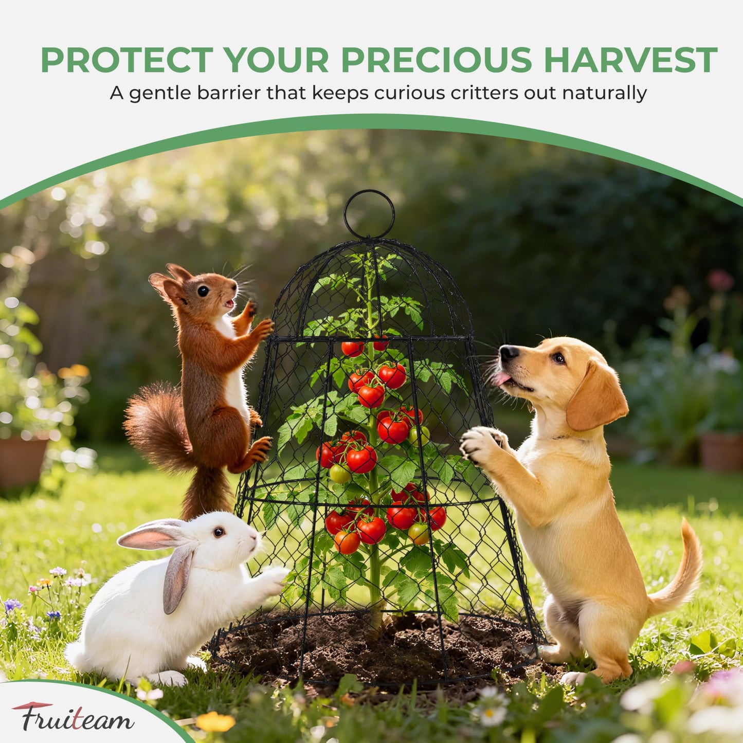 FRUITEAM Metal Plant Covers 6pcs, Heavy Duty Garden Cloche Plant Cage for Outdoor, 13"x15.8"H Rust-Proof Plant Protectors from Animals for Vegetables, Flowers, Seedlings Against Rabbits, Squirrels