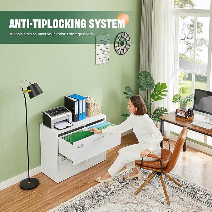 Letaya 2 Drawer Metal Filing Organization Office Cabinets