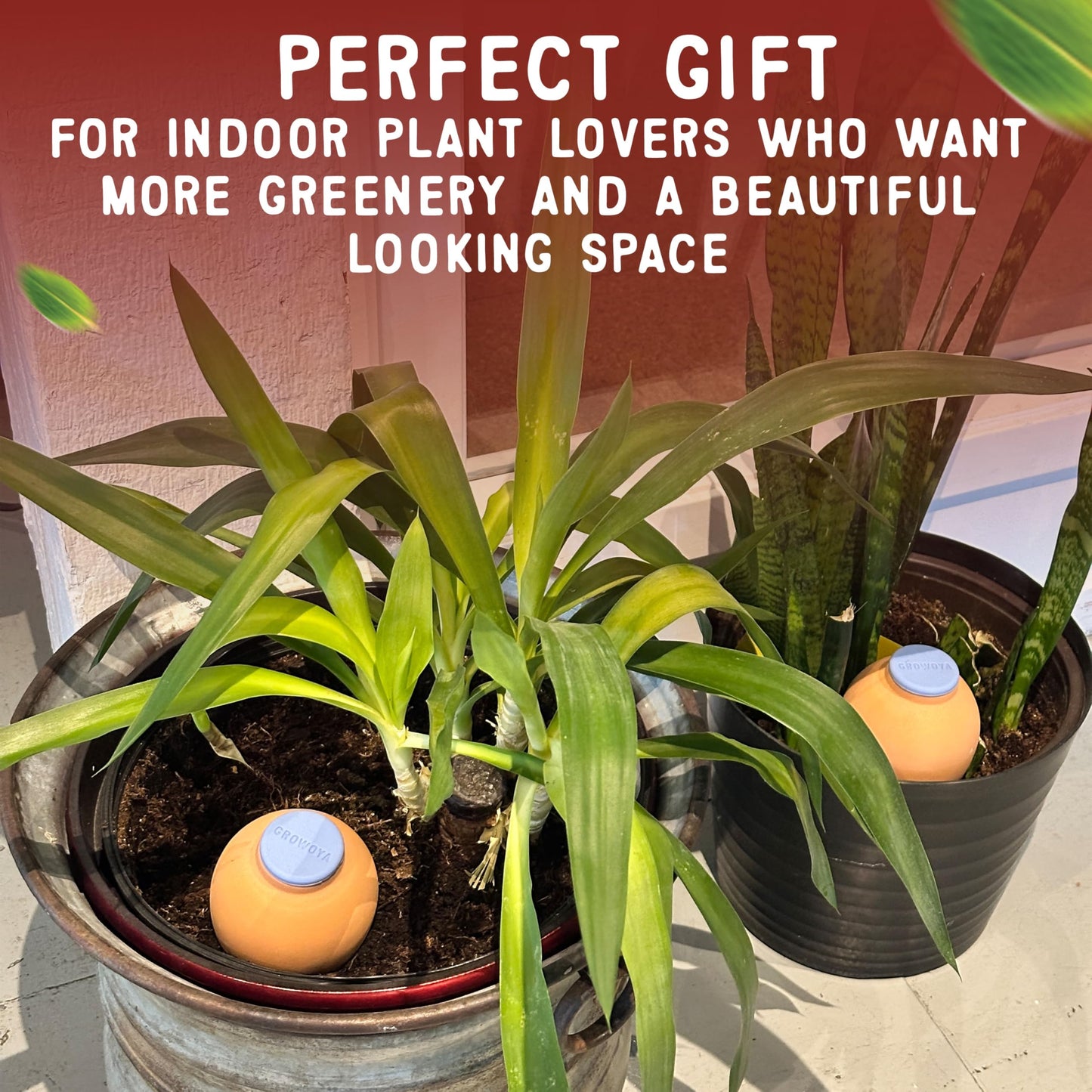 GrowOya Watering Spike for Indoor Plants |16oz self Watering Terracotta Pot| Slow Release Plant Watering Device for Pots 8 Inches or Larger| Decorative self Watering Planter Insert