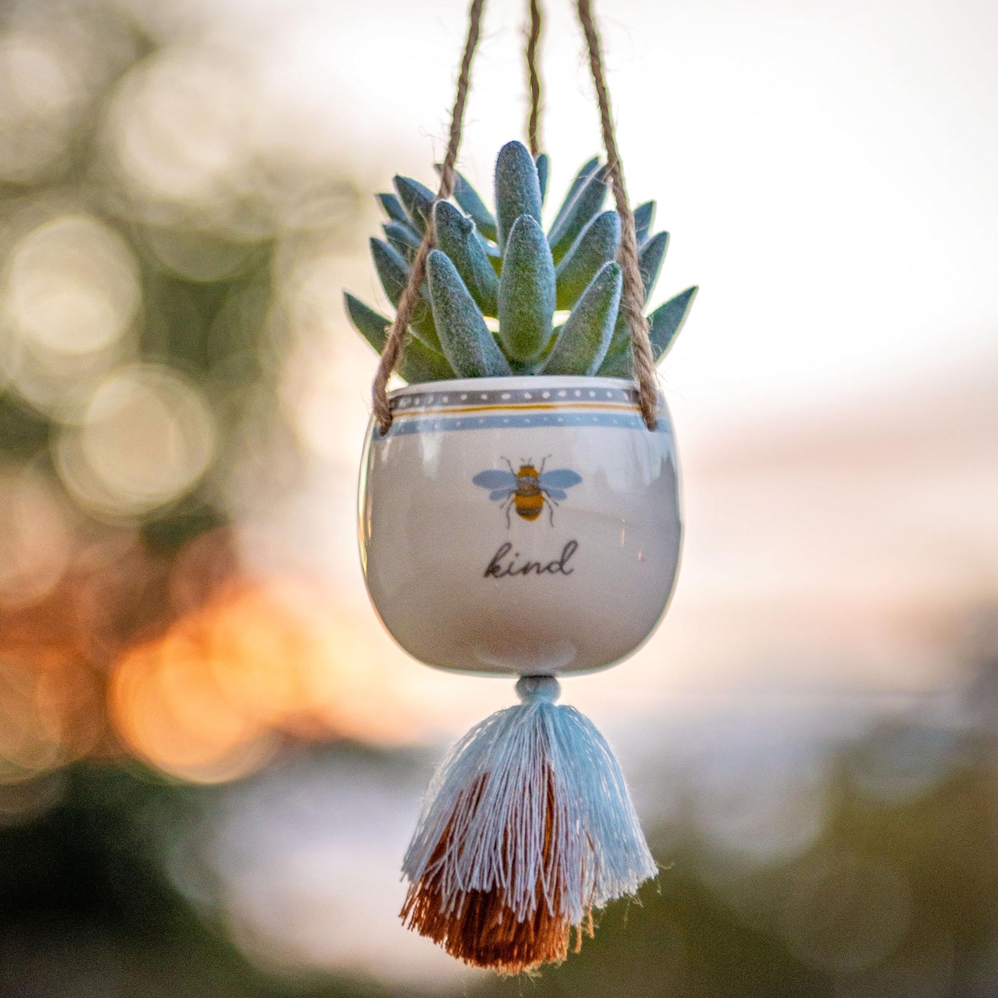 Karma Shaped Hanging Succulent Pot Sloth