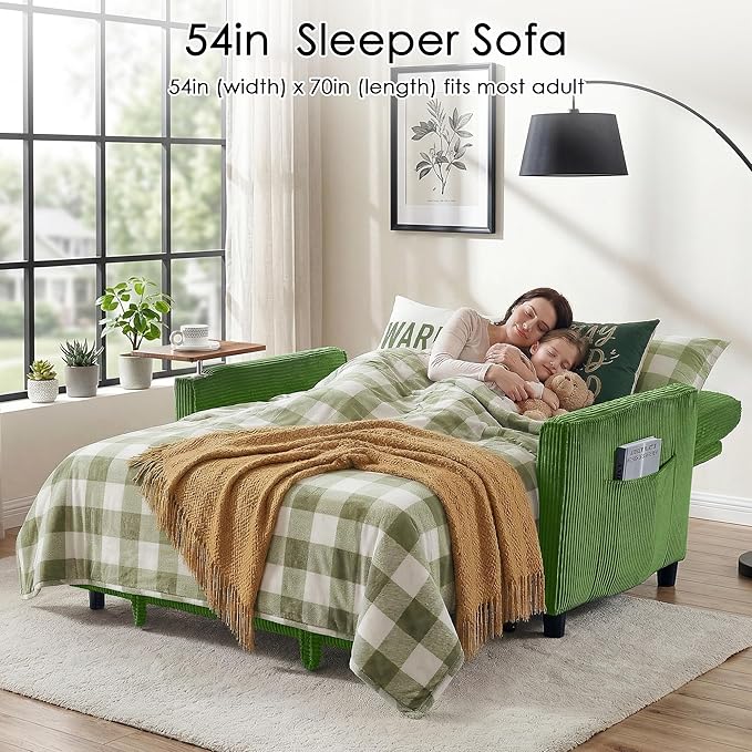 Sleeper Sofa Bed, Guest Room