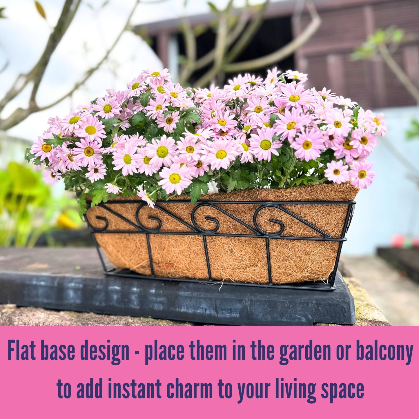 LaLaGreen Wall Planters for Outdoor Plants (2 Pack, 16 Inch) Window Flower Boxes Basket Attach to House, Deck Railing Strawberry Planters with Coco Liners BalconyTroughs Fence Patio Porch Over Rail