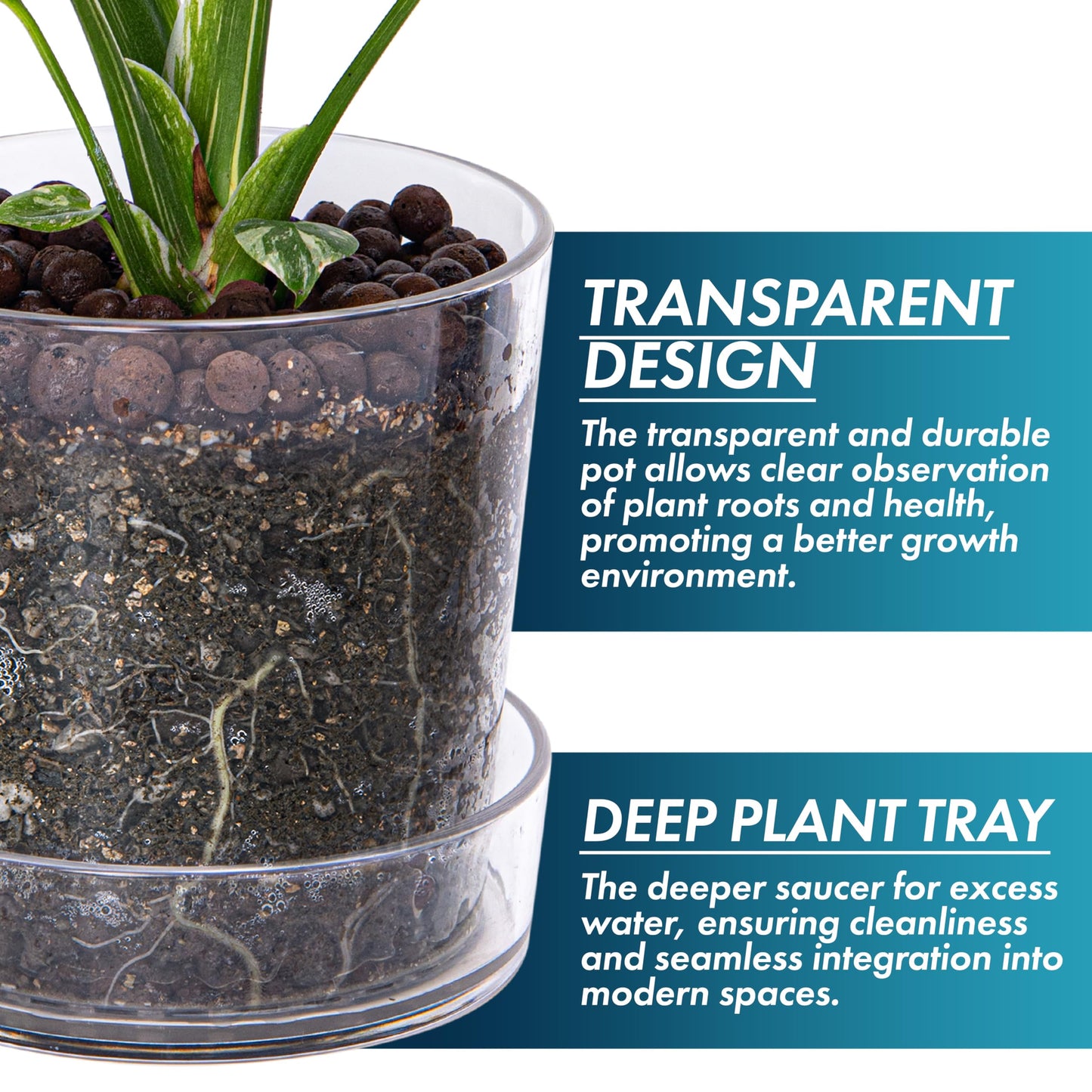Phoenix Vine 4.5 Inch 6.5 Inch Clear Acrylic Houseplants Planter Pot with Tray, Orchid Pot with Drainage Holes, Deep Saucer for Bottom Watering, Transparent Containers for Indoor Plants, Herbs, 91-B-W